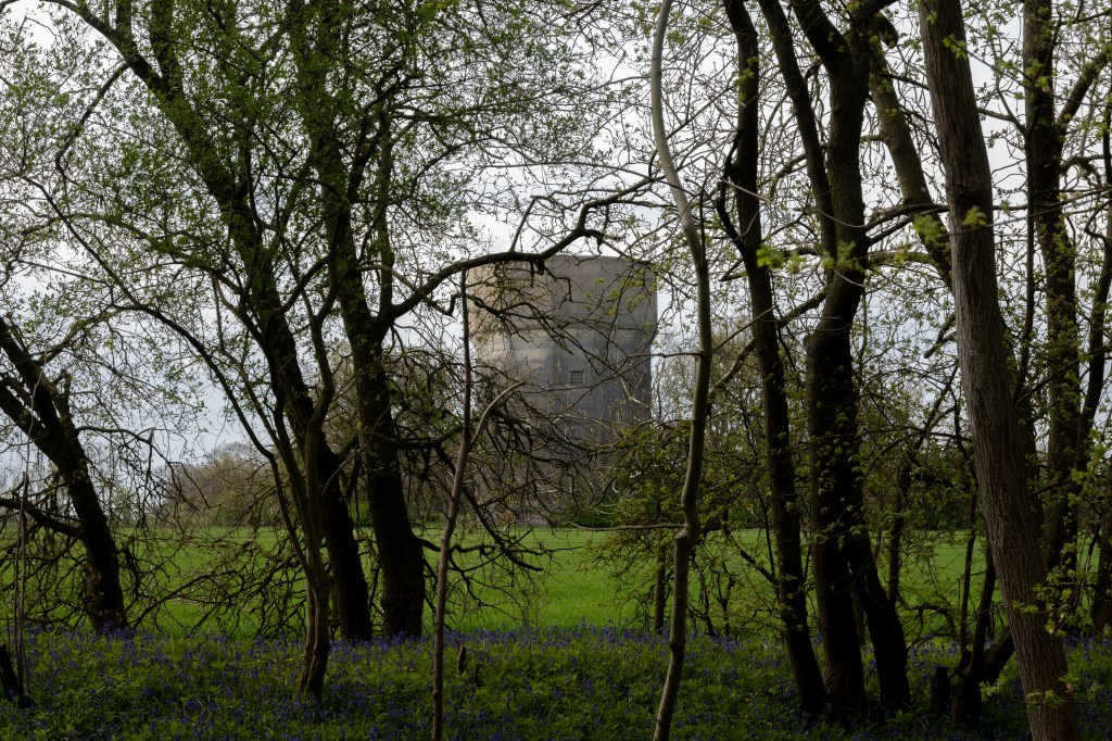 Behind some trees and bluebells is a green field with a large grew water tower on the edge of it. The sky is white. 