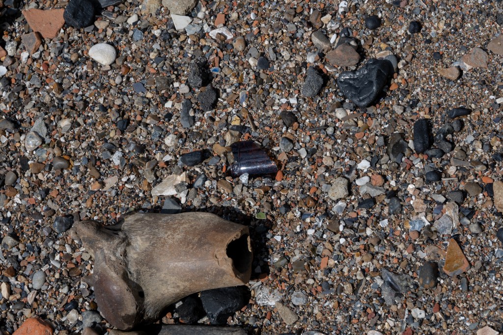 Shingle made up of tiny pieces of white, brown, grey and orange fragments. A large piece of hollow bone is in the bottom left corner above it is a fragment of old brown bottle with the letters o and k on it. 