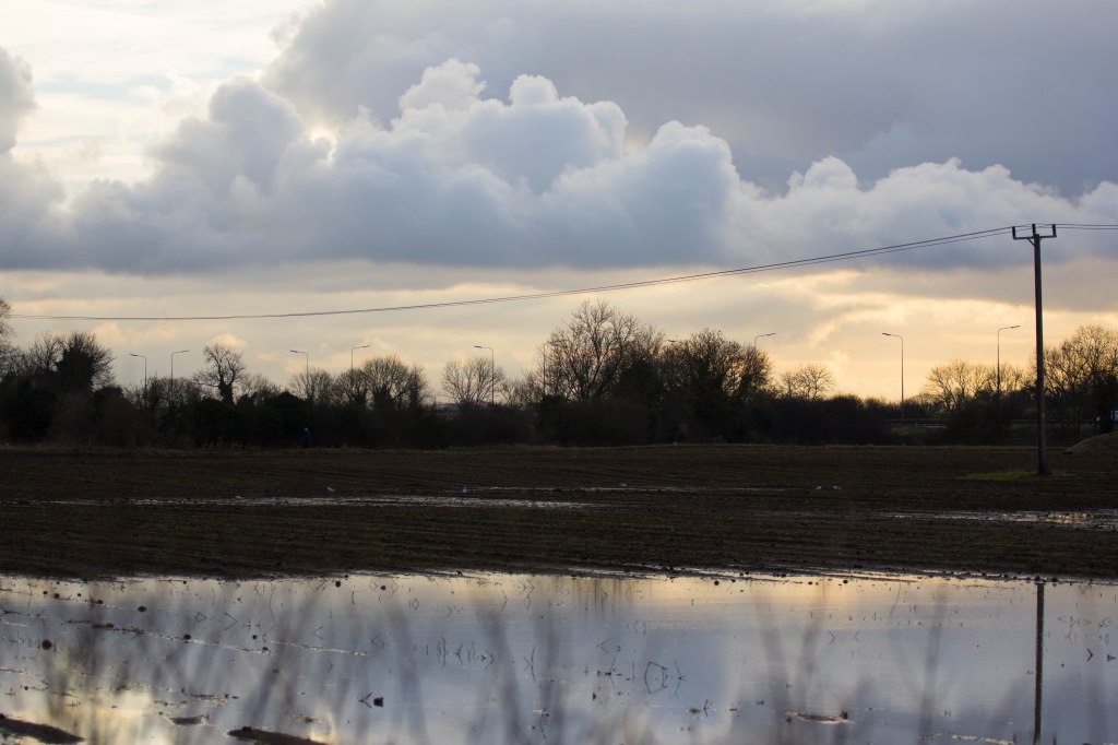 In the foreground there is a large swathe of water then mud streaked with more water then skeletal winter trees in the background. The sky is golden on the horizon then there is a band of fluffy grey and white clouds and above them darker grey sky. The water in the foreground reflects the trees and sky in a blurry way. 