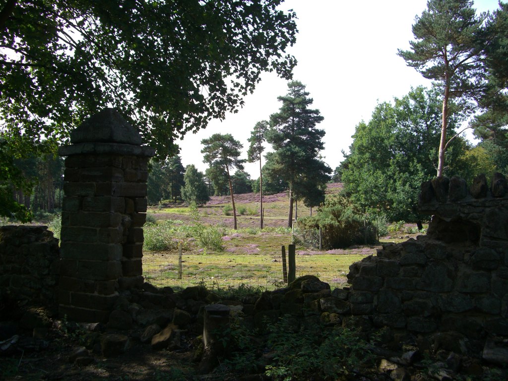 A crumbling old wall and pilar between which can be seen a hill with purple heather on it studded with tall trees. The sky is blue. 