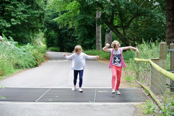 Two little girls are balancing across a cattle grid on a tarmac road which curves away to the right behind them. There are dark green trees on both sides of the road behind them but it is more open where the cattle grid is. Fence posts can be seen on the right by the grid. 