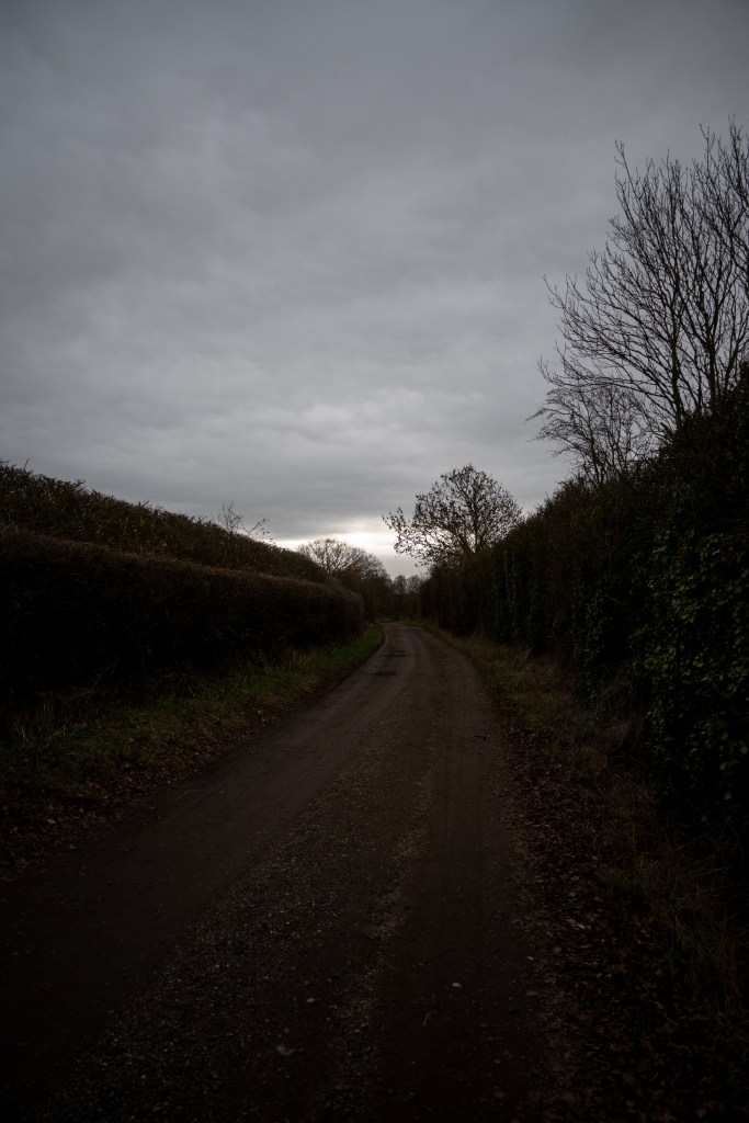 A muddy lane curving to the left flanked by tall hedges and skeletal trees. The sky above is grey with a splash of white low down at the end of the lane as it turns. 
