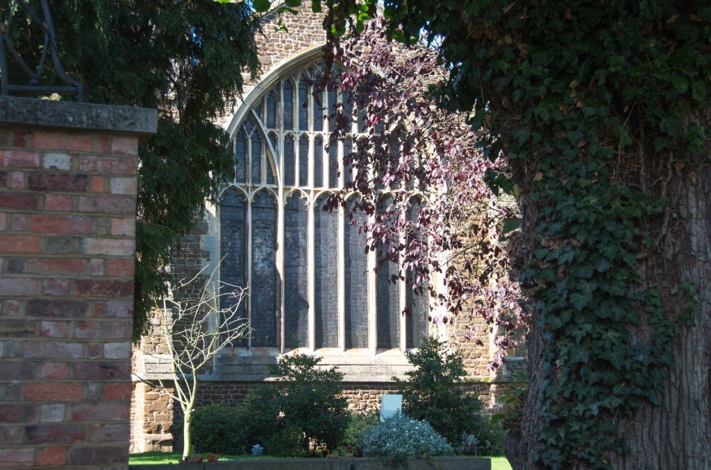 A close up of the arched window in the foreground to the left is a brick wall and to the right a thick lined tree trunk covered in ivy/ The sun is shining on to the church window.