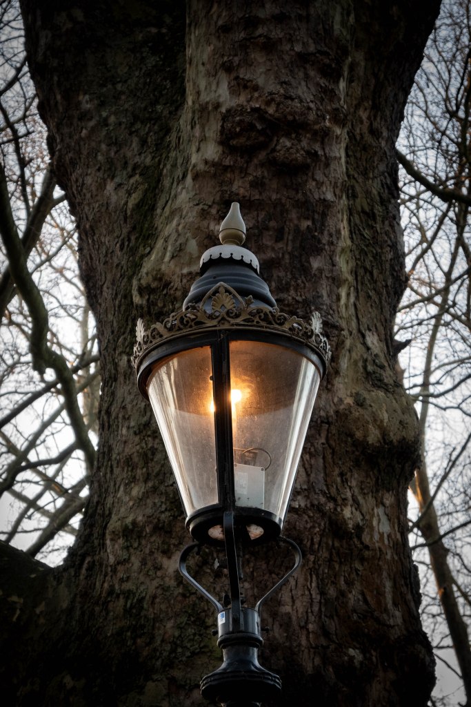 A close up of the lamp with it's ornate black and bronze iron work. It glows warmly and behind it is a tree trunk of grey and green an tiny twisty twigs and branches. 