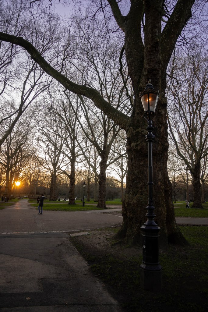In the background on the left the sun is setting amongst winter trees. A straight path leads to where the sun sets. There is a side path running from left to right and a person walking along it in jeans and blue coat. In the foreground on the right there is a tall black lamppost which is glowing a warm organey white colour. Behind the lamppost is a tall tree with gnarled bark with green patches. Between the trees of the park there is grass. 