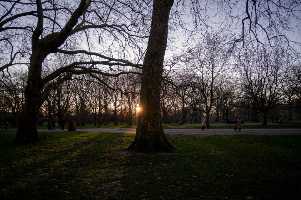 A park full of trees. One in the centre is blacking most of the setting sun but a small slither shines around the tree glowing. The sky above the park is a pale mauve and to the left another tree has long branches reaching to the right. There are people walking along a path in the park in thick coats. 