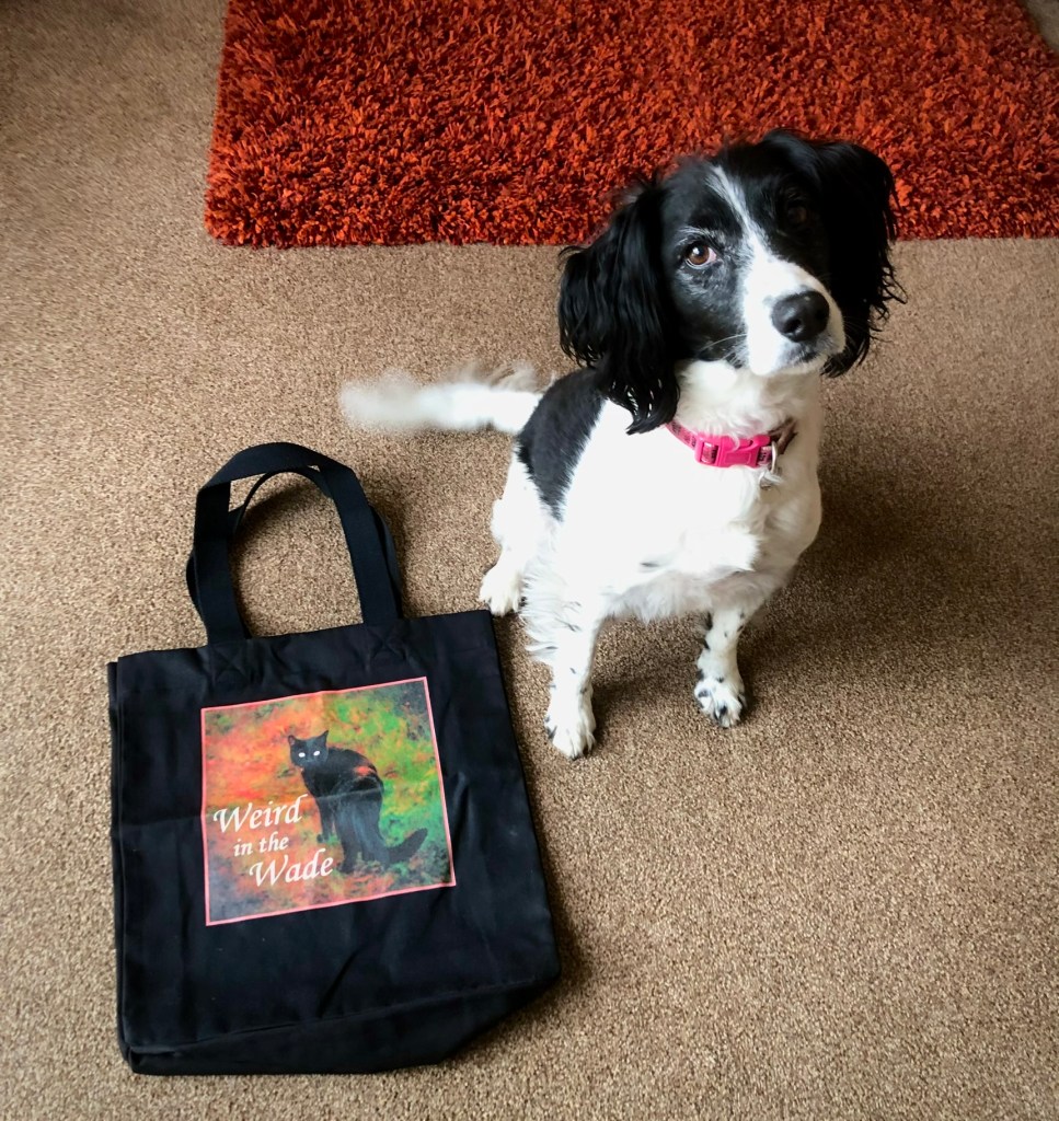 A black and white spaniel type dog sitting next to a black canvas bag which has the podcast logo of a black cat printed on it. 