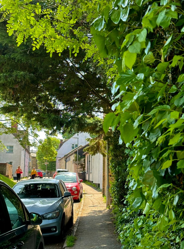 A view of the low white school rooms leading up to Camden House it's self. The picture is framed by green leaves. There are cars parked along the road and people walking towards the camera on the left. 