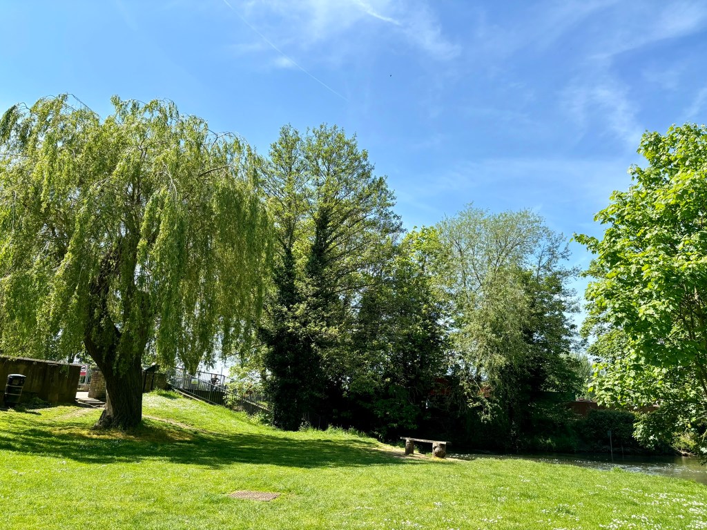 A sweep of grass down to the river, a single bench is in the centre on the bank. On the left is a weeping willow tree and there are trees around the river in the background. The sky is bright blue.