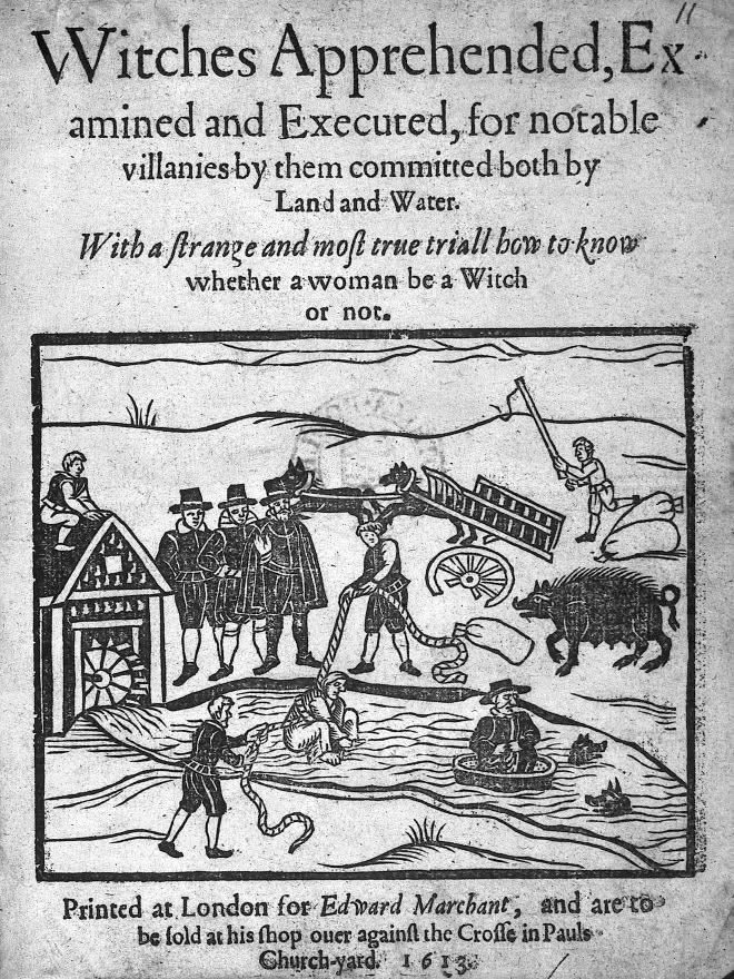 A wood cut scene of a witch being ducked in a mill pond with a vicar in a boat next to her and men on the banks watching or holding ropes. There's also pigs in the water and a giant sow and a broken cart in the picture.