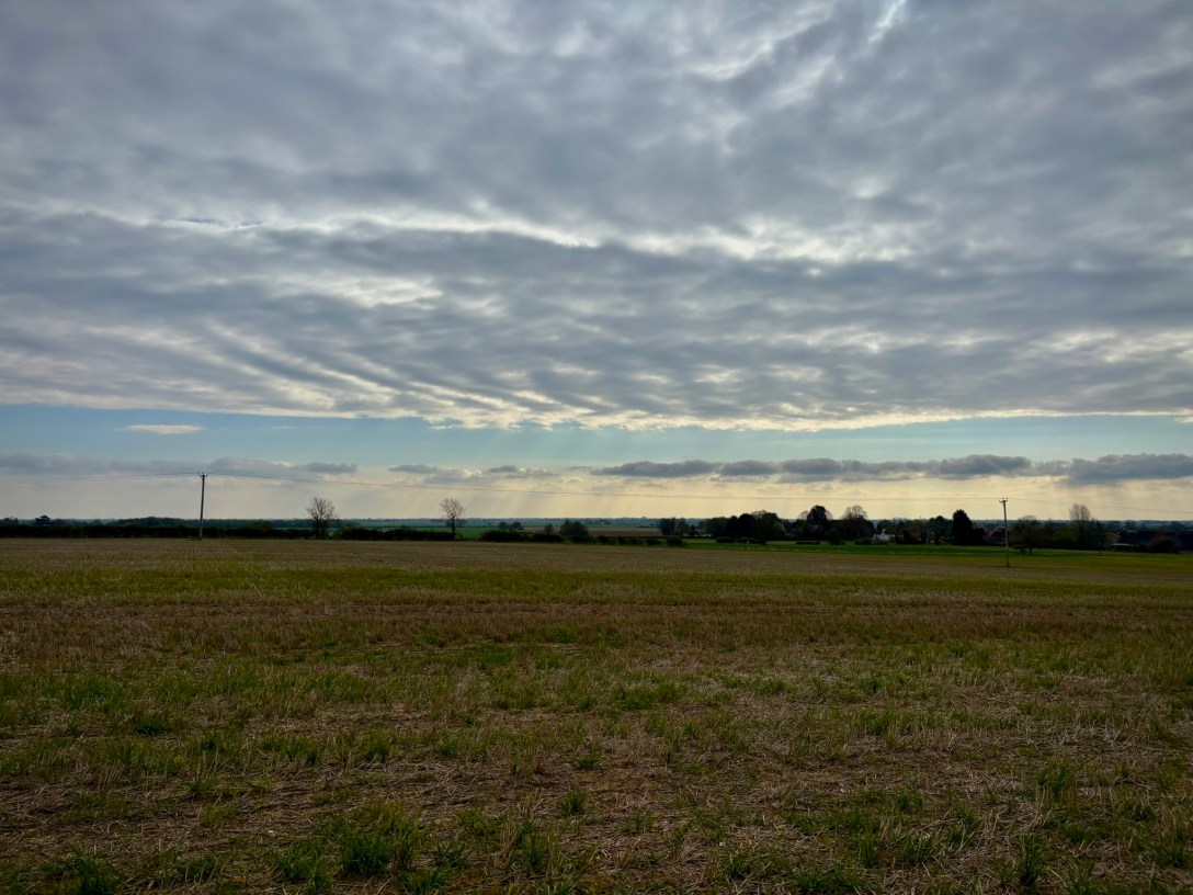 A wide field with shrubs and trees on the horizon. The sky on the horizon is a strip iof pale gold. The rest of the sky is wavy clouds.