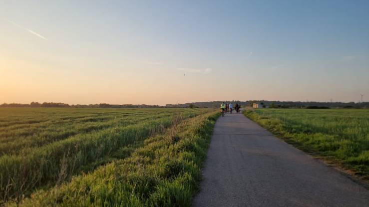 A wide flat expanse of land and a road leading into the distance. The sun is setting and the sky is a peachy colour on the horizon and blue overhead.