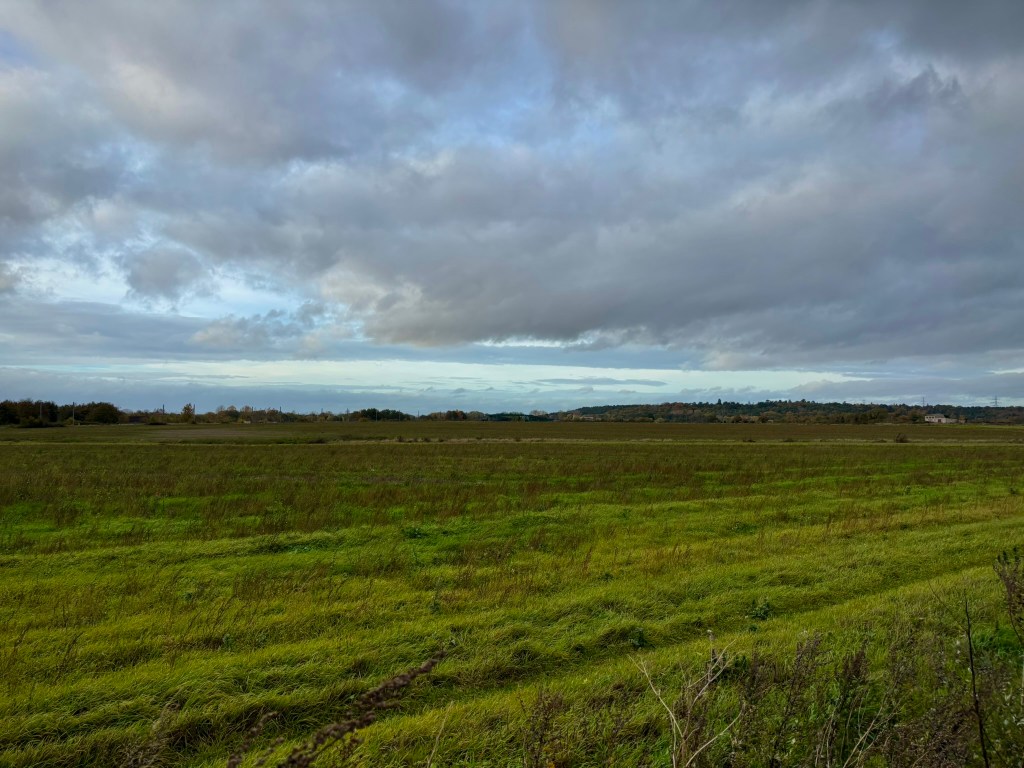 A wide feild with low grey clouds over it. In the distance is a low ridge of trees