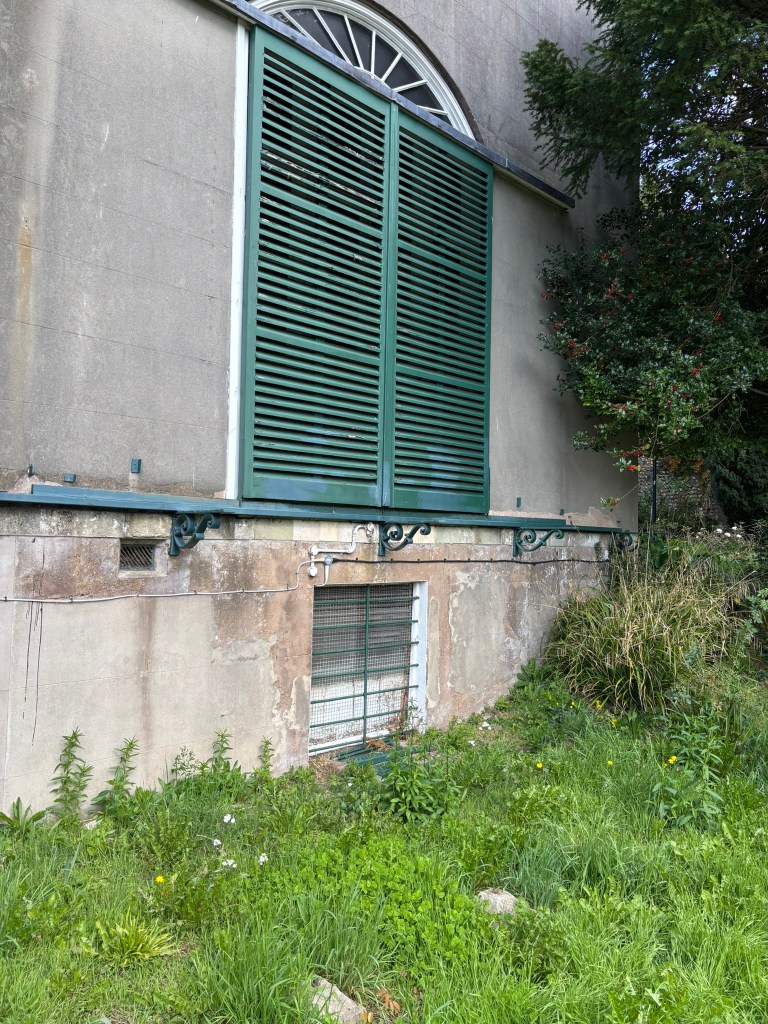 A grey wall with a window covered by green shutters and a grill below. The grass and a large holly bush in the background
