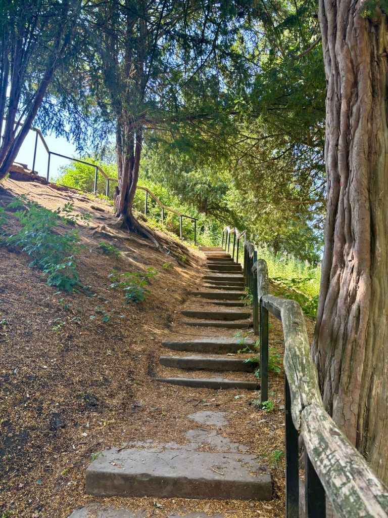 Steps cut into the castle mound curving left surrounded by tall trees