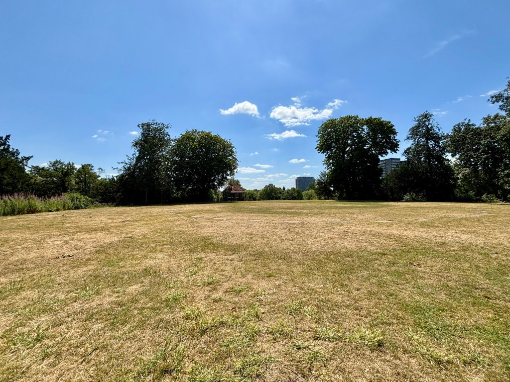 Flat open field of grass surrounded by trees. In the distance is the porch seen in the previous photo but from the opposite direction. 