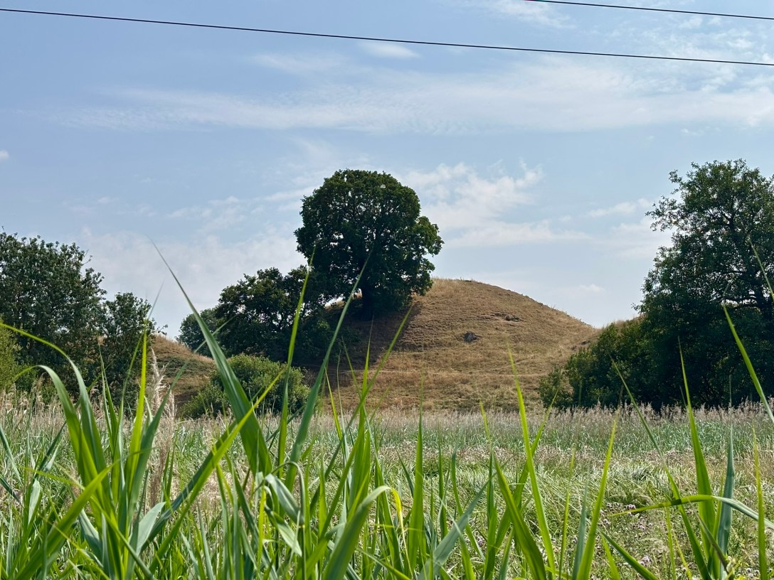 A grassy summer field with tall green blades in sharp focus in the foreground. Beyond the field, a rounded earthen mound topped with a single large tree rises against a pale blue sky with wispy clouds. Power lines cross the top of the frame, and clusters of trees flank the mound on either side
