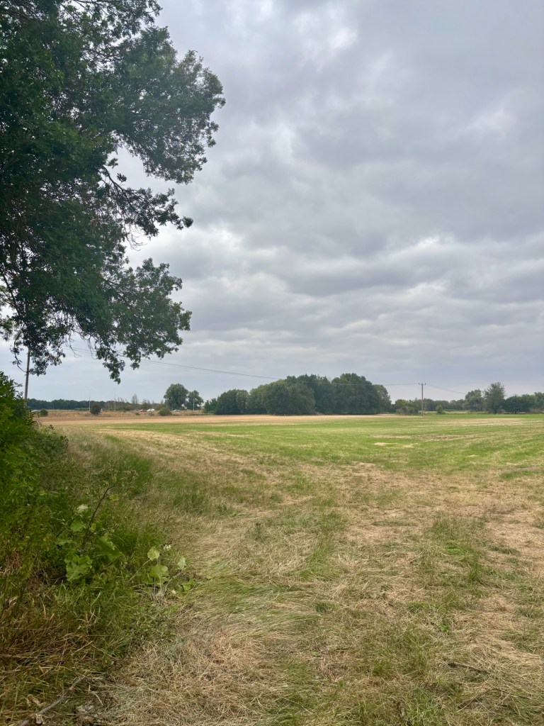 A dry field of grass with crop markings in it and dark trees and road in the distance the clouds are grey