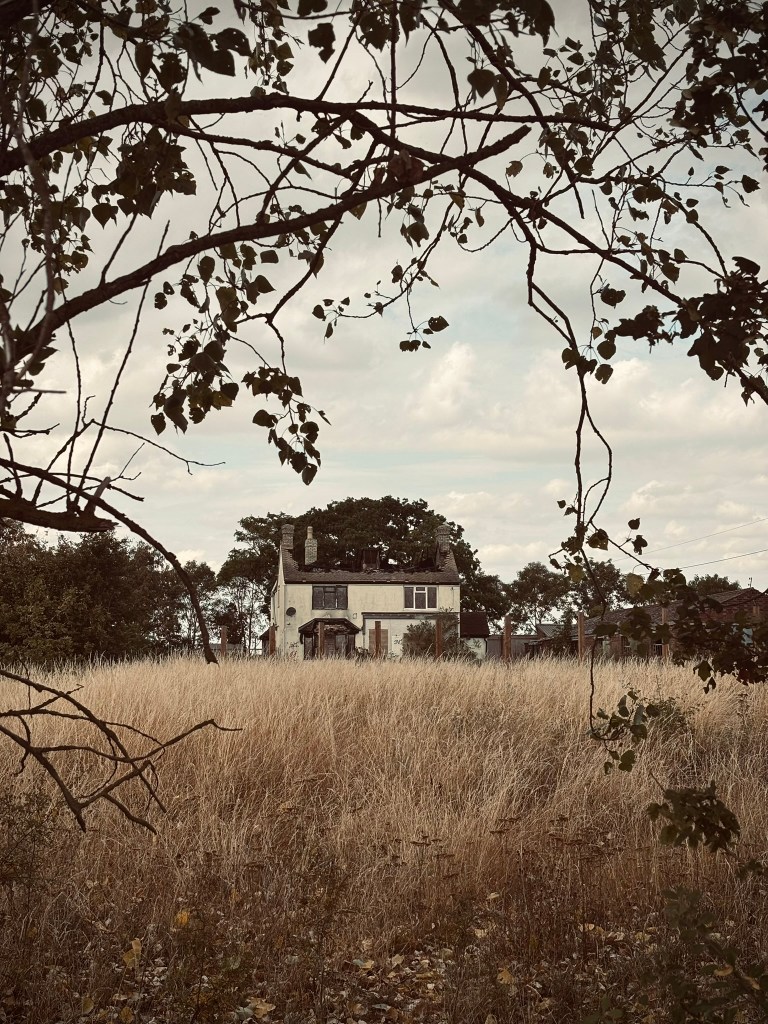 An abandoned two-storey house with fire-damaged walls and a collapsed roof, seen across a field of tall, dry grass and framed by overhanging tree branches. Trees and outbuildings surround the derelict property under an overcast sky.