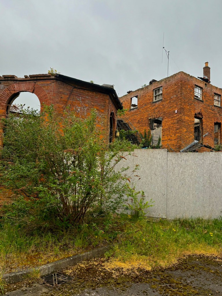 A closer view of the fire-damaged red-brick building, showing a roofless octagonal bay wing with a large arched window opening and graffiti, overgrown by tall shrubs and weeds in the foreground. Beyond a plywood-topped boundary wall, a taller section of the ruin stands with blackened window frames, a collapsed metal fire escape, and a lone antenna against the grey sky.
